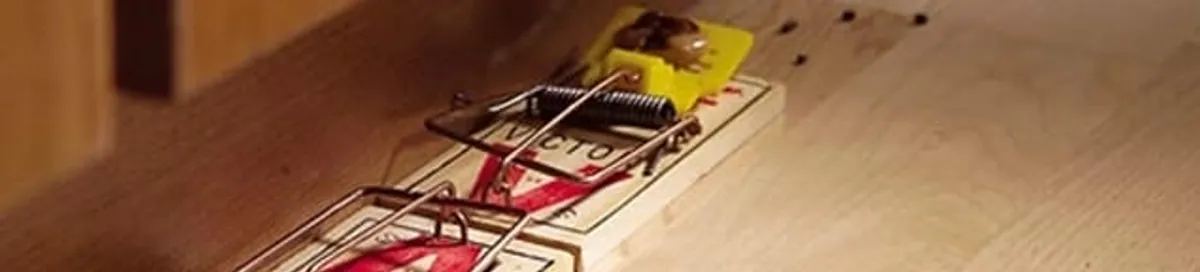 Rodent trap set indoors for rodent control and prevention in Dayton, OH
